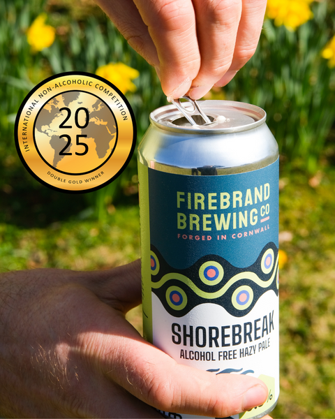 Shorebreak Wins Double Gold at INAC Awards